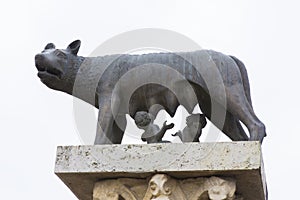 The Capitoline Wolf statue replica from Alba Iulia city