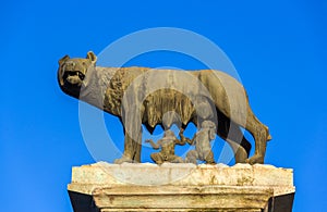 Capitoline Wolf statue in Rome, Italy