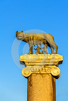 Capitoline Wolf statue in Rome, Italy