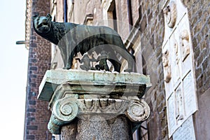 The Capitoline Wolf: Statue of the she-wolf suckling Romulus and