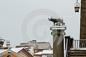 Capitoline Wolf symbol of Rome with snow