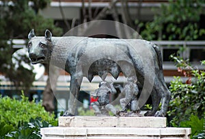 Capitoline wolf and twins