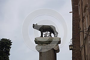 The Capitoline Wolf and twins