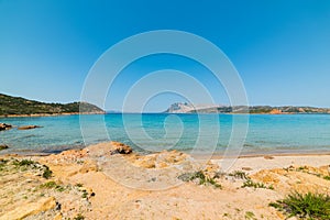 Capo Coda Cavallo shoreline