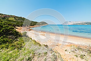 Capo Coda Cavallo shoreline