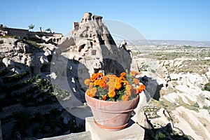 Cappadocia Caves and The Flowers