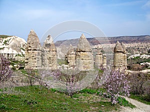Cappadocia love valley in spring photo