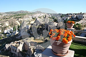 Cappadocia Region and The Flowers