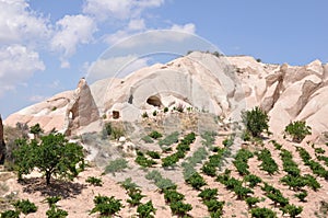 Cappadocia Rock Formations, Red Rose Valley, Goreme, Turkey