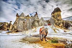 Cappadocia,Turkey