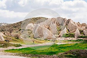 Cappadocia, Turkey. Fairy Chimney Rock Formations with clouds