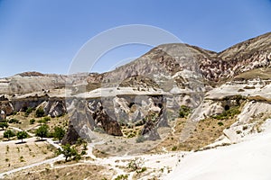 Cappadocia, Turkey. Mushroom-shaped pillars weathering Pashabag Valley (Valley of the Monks)