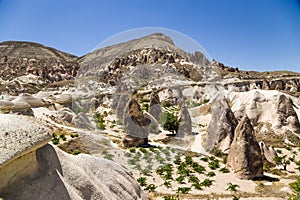 Cappadocia, Turkey. Picturesque rocks in the Valley of Monks (Valley Pashabag)