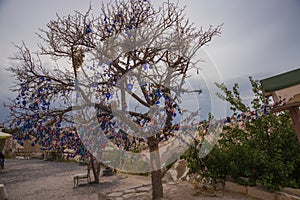 Cappadocia, Turkey: Tree hanging Nazar amulets, a special eye-shaped objects that protect against the evil eye