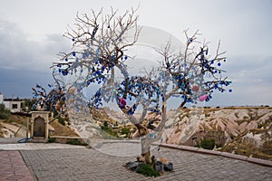 Cappadocia, Turkey. Wish Tree decorated Turkish charms against the evil eye