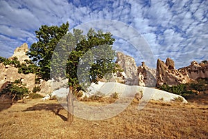 Cappadocian landscape, Turkey