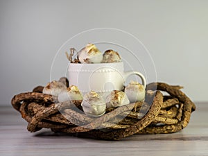 Cappuccino cake balls, truffle like, with espresso powder sprink