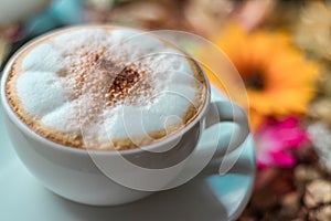 Cappuccino coffee on wooden table and sunlight background