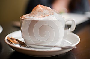 cappuccino cup with milk foam and cinnamon