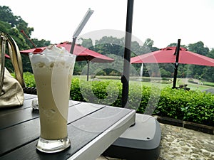 Cappuccino with whipped cream in Kebun raya bogor photo