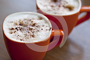 Cappucino swallow DOF