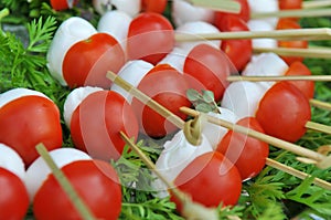 Caprese Appetizer