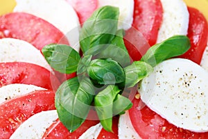 Caprese salad photo