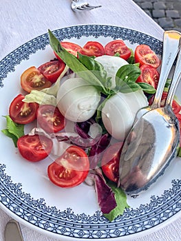 Caprese Salad with buffalo mozzarella with red onions and basil on white and blue plate in Italy metal spoon