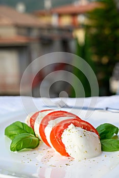 Caprese salad made with fresh soft white italian cheese mozzarella buffalo, green basil, red tomatoes and origano herb photo