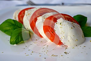 Caprese salad made with fresh soft white italian cheese mozzarella buffalo, green basil, red tomatoes and origano herb