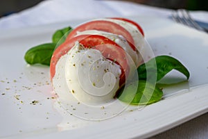 Caprese salad made with fresh soft white italian cheese mozzarella buffalo, green basil, red tomatoes and origano herb