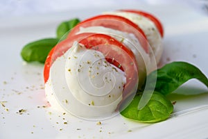 Caprese salad made with fresh soft white italian cheese mozzarella buffalo, green basil, red tomatoes and origano herb photo