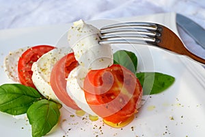 Caprese salad made with fresh soft white italian cheese mozzarella buffalo, green basil, red tomatoes and origano herb