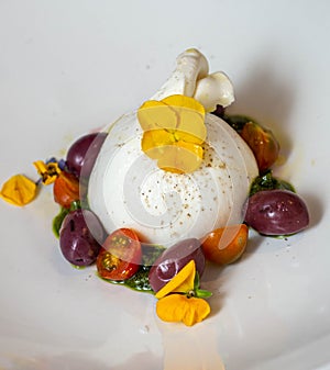 A caprese salad with mozzarella cheese made with donkey\'s milk, colored cherry tomatoes and basil, all on a white plate