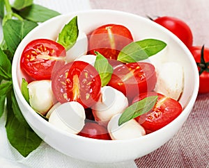 Caprese salad with mozzarella, tomato, basil on white plate. Vintage retro hipster style version