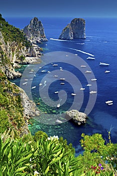 Capri photo