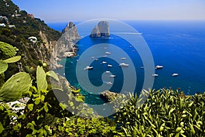 capri photo