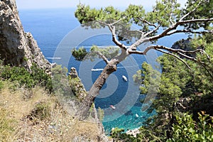 Capri island in a beautiful summer day