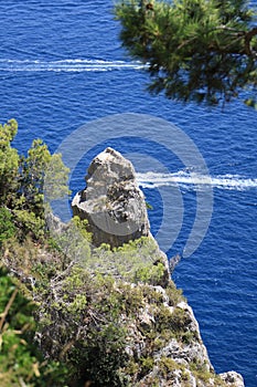 Capri island in a beautiful summer day