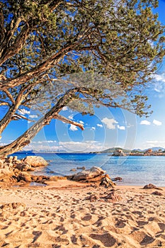 Capriccioli beach on Sardinia island, Costa Smeralda, Italy