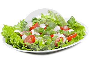 Caprice salad photo