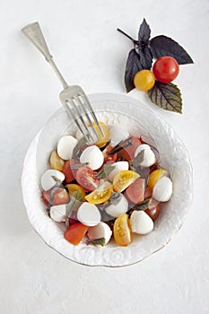 Caprice Salad in a white plate photo