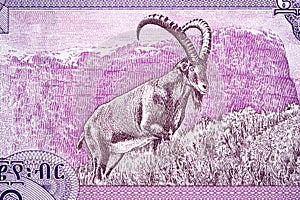 Capricorn from Ethiopian money