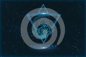 Capricorn horoscope sign in twelve zodiac with galaxy stars