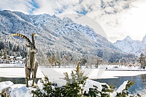 Capricorn on a sunny day at lake Jasna in Kranjska Gora