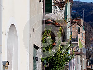 Caprigliola near Aulla in north Tuscany. Typical ancient hilltop village in Italy