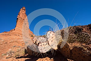 Caprock canyon in texas usa