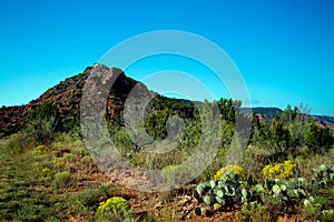 Caprock Canyons State Park in Texas