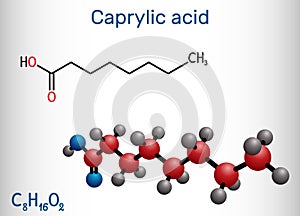 Caprylic acid, octanoic acid molecule. It is straight-chain saturated fatty and carboxylic acid. Salts are octanoates or