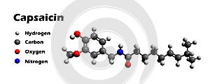 Capsaicin 3D model